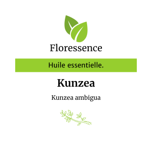 Huile essentielle Kunzea – Floressence