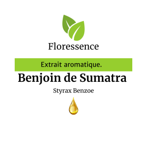 Benjoin de Sumatra résinoïde 50% – Floressence