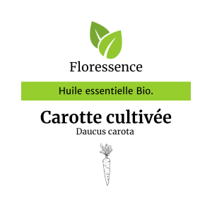 Huile essentielle Carotte cultivée Bio Promo – Floressence