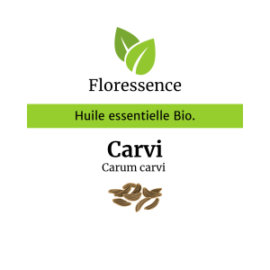 Huile essentielle Carvi BIO Promo – Floressence