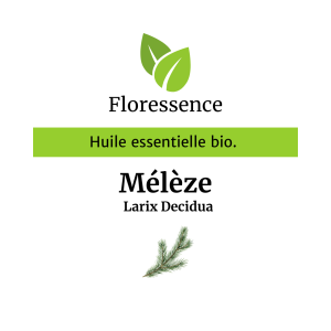 Huile essentielle Mélèze BIO – Floressence