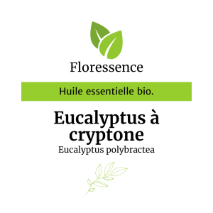 Huile essentielle Eucalyptus à cryptone BIO – Floressence