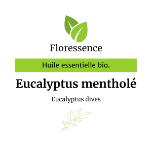 Huile essentielle Eucalyptus mentholé BIO Promo – Floressence