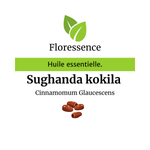 Huile essentielle Sughanda kokila sauvage – Floressence