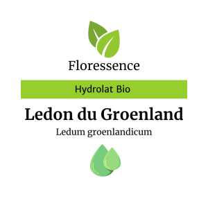 Hydrolat Ledon du Groenland BIO – Floressence