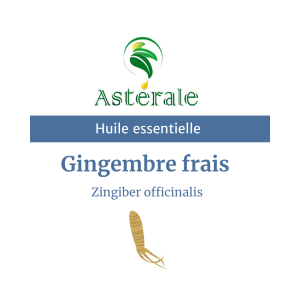 Huile essentielle Gingembre frais – Astérale
