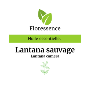 Huile essentielle Lantana sauvage Promo- Floressence