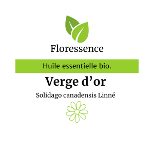 Huile essentielle Verge d&rsquo;or canadensis BIO – Floressence
