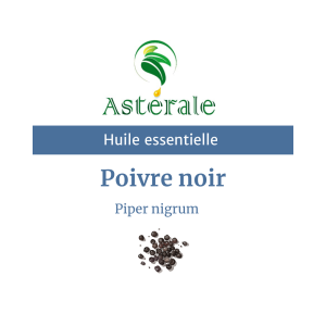 Huile essentielle Poivre noir – Astérale