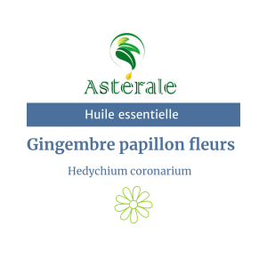 Huile essentielle Gingembre papillon fleurs – Astérale