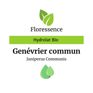 Hydrolat Genévrier commun – Floressence