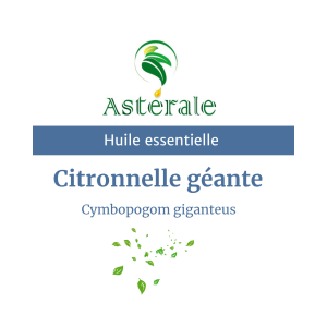 Huile essentielle Citronnelle géante|5ml – Astérale