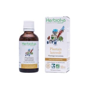 PHYTO PLANTAIN LANCEOLÉ BIO 50ML Promo HERBIOLYS