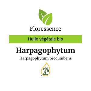 Huile végétale Harpagophytum BIO – Floressence