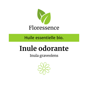 Huile essentielle Inule odorante Bio Promo- Floressence