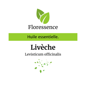 Huile essentielle Livèche – Floressence