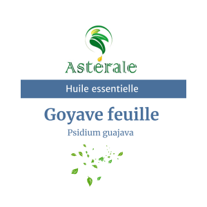 Huile essentielle Goyave feuille | 5ml – Astérale