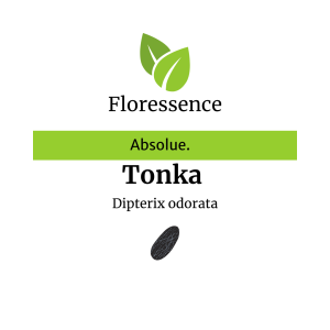 Tonka Abs. Pure – Floressence