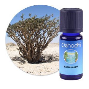 Huile essentielle Encens sacré – Oshadhi